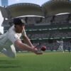 cricket 26 pic2